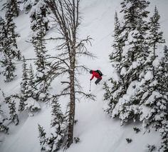 a man riding skis down the side of a snow covered slope next to trees