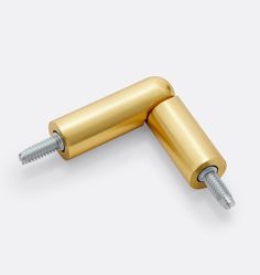 two brass colored screws on a white background with clipping for text or image