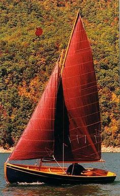 a small sailboat with red sails is in the water next to a hill and trees