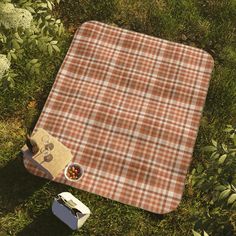 an overhead view of a picnic blanket and food on the ground