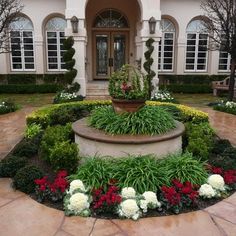 a garden with flowers and plants in front of a house