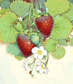 two strawberries on a vine with leaves and flowers