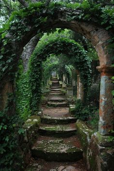 an arch covered in vines with steps leading up to it