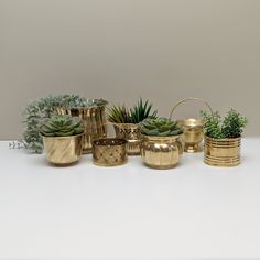 a group of gold vases filled with plants and succulents on a white surface