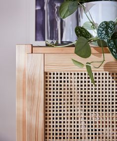 a potted plant sitting on top of a wooden shelf next to a vase with green leaves