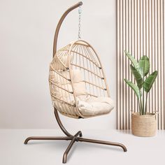 a hanging chair next to a potted plant