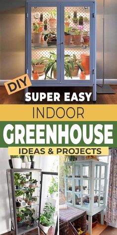 indoor green house ideas and projects with text overlay reading diy super easy indoor greenhouse ideas & projects