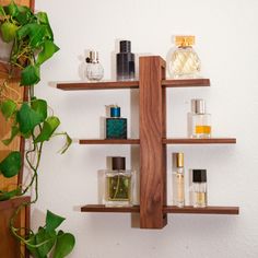 three wooden shelves with different types of perfumes on them next to a potted plant