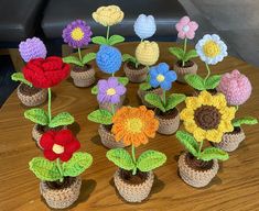 small crocheted flower pots are arranged on a wooden table with the flowers in them