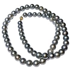 A Strand of Grey colour Silver tone Tahitian pearl necklace with 18K Yellow Gold Clasp. The length of the necklace is 77cm. We can alter the length of this necklace by adding or removing some pearls. please contact us if you want a different length. The prices will change when the length changes. A 11 mm to 13.1 mm Silver Colour Grey tone Tahitian Pearl Necklace with 18k Gold Clasp It consists of 63 pieces Tahitian pearls Vintage Pearl Necklace, Tahitian Pearl Necklace, Necklace Clasp, Pearl Necklace Vintage, Necklace Clasps, Grey Colour, Tahitian Pearls, Grey Tones, Vintage Pearls