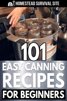 the 1011 easy canning recipes for beginners is shown in front of an oven