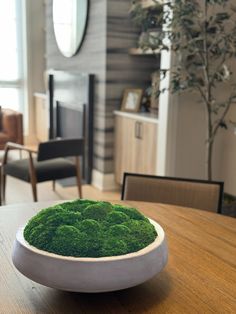 a bowl filled with green moss sitting on top of a wooden table next to a couch