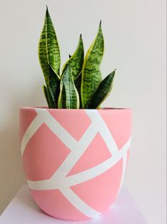 a potted plant sitting on top of a white table next to a pink wall