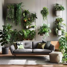 a living room filled with lots of plants and potted plants on the wall next to a couch