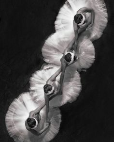 three ballerinas in white tutu skirts on black and white background, aerial view