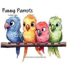 three colorful birds sitting on top of a wooden branch with the words funny parrots