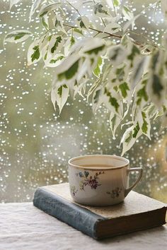 a cup of coffee sitting on top of a book next to a window with raindrops