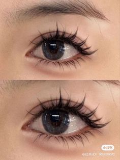 lashes Pretty Eyelash Extensions, Doll Lashes Extensions, Korean Eye Lash, Volume Eyelashes, Lashes Natural Look, Make Up Natural