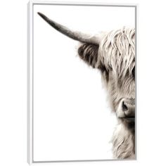 an animal with long horns standing in front of a white background canvas wall art print