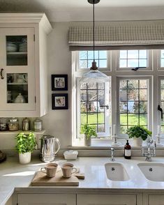 a kitchen with two sinks and windows in the backround, surrounded by potted plants