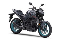 Yamaha MT25 2023 Street Fighter Motorcycle, Yamaha 250, Ktm 250, Futuristic Motorcycle, Indian Art Gallery, Yamaha Motorcycles, Yamaha Motorcycle, Yamaha Motor, Tubeless Tyre