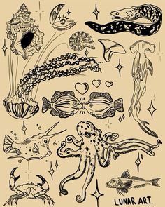 an ink drawing of different types of sea creatures