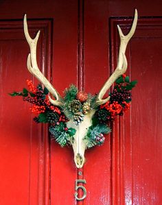 a deer's head with antlers, berries and pine cones hangs on a red door