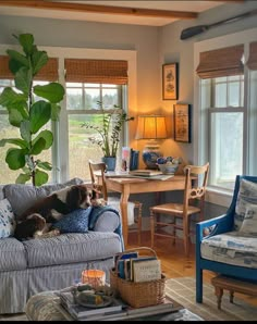 a living room filled with furniture and a dog laying on top of the couches