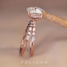 two wedding rings on top of a piece of wood with the word pelican written below it