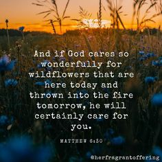 a field with blue flowers and the words, and if god cares so wonderfully for wildflowers that are here today and thrown into the fire tomorrow he will certainly care for you