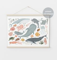 a poster hanging on the wall with an octopus, whale and other sea animals in it