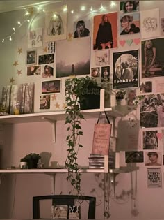 a room with many pictures on the wall and a potted plant in the corner