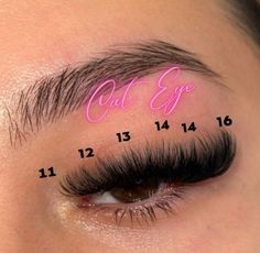 16 Mm Eyelash Extensions, Lash Cluster Map Almond Eyes, Lash Map Clusters Cat Eye, Strip Lash Extensions Map, D Curl Lash Map, Wispy Volume Lash Extensions Map, Doll Eye Volume Lash Extensions, D Curl Lash Extensions, Wispy Volume Lash Extensions