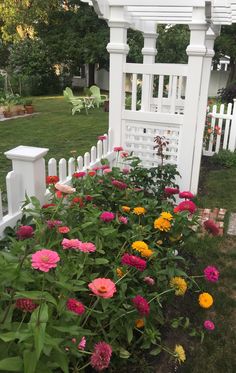 colorful flowers are growing in front of a white picket fence