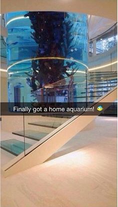 the stairs are made of glass and have an advertisement on them that says, finally got a home aquarium