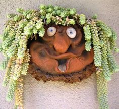 a face made out of plants with eyes on it's head and nose is shown