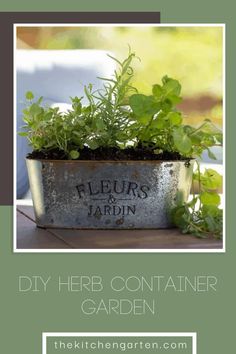 An herb garden planter is a great little container garden project, and with a little help from Dollar Tree and some clever hacks, we’ll show you how to create an easy rustic planter! This DIY herb container garden is a fun garden project that can quickly be put together for your patio table or as a gift. Herb Container Garden, Rosemary Diy, Pruning Basil, Fun Garden Projects, Growing Oregano, Herb Container, Diy Container, Rustic Planter, Container Herb Garden