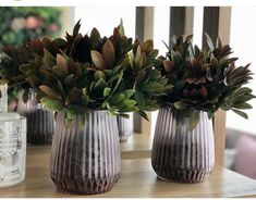 three vases with plants in them sitting on a table