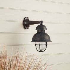 an outdoor light on the side of a house next to some grass and flowers in front of a white wall