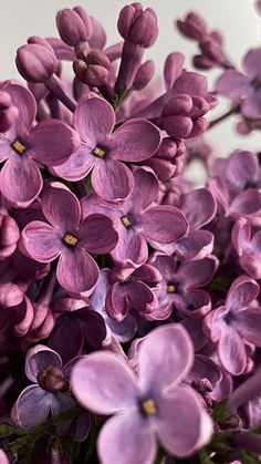 a bunch of purple flowers are in a vase