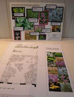 an assortment of plants and flowers displayed on a table with information about the plant species