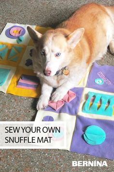 a dog is laying on the floor next to some crafting materials and looking at the camera