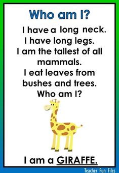 a giraffe with the words who am i?