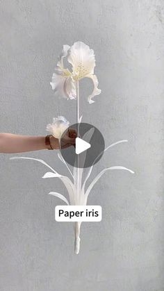 a person holding a flower in their hand with the word paper iris written below it