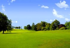 a green golf course with trees and blue sky