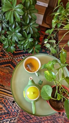 there is a green tray with some plants on it and two cups of tea next to each other