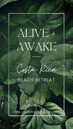 costa rica yoga retreat Choose Yourself, Costa Rica Beaches, Yoga Retreats, Beach Retreat, Beach Yoga, February 2023, Yoga Meditation, The Universe