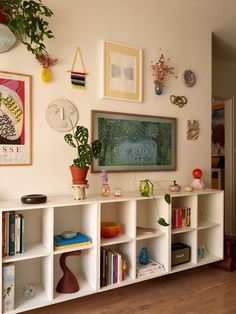 there is a shelf with many books and plants on it in the room next to the door