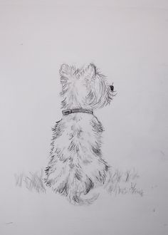 a drawing of a dog sitting in the grass