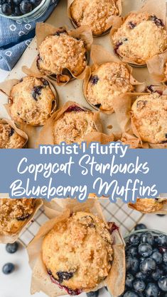 blueberry muffins with text overlay that reads, moist fluffy copycat starbuck's blueberry muffins